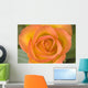 Hybrid Tea Rose Circus Wall Mural