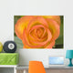 Hybrid Tea Rose Circus Wall Mural