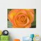Hybrid Tea Rose Circus Wall Mural