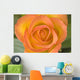 Hybrid Tea Rose Circus Wall Mural