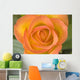 Hybrid Tea Rose Circus Wall Mural