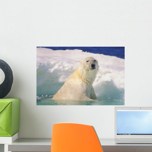 Polar Bear In Ice Pool Wall Mural