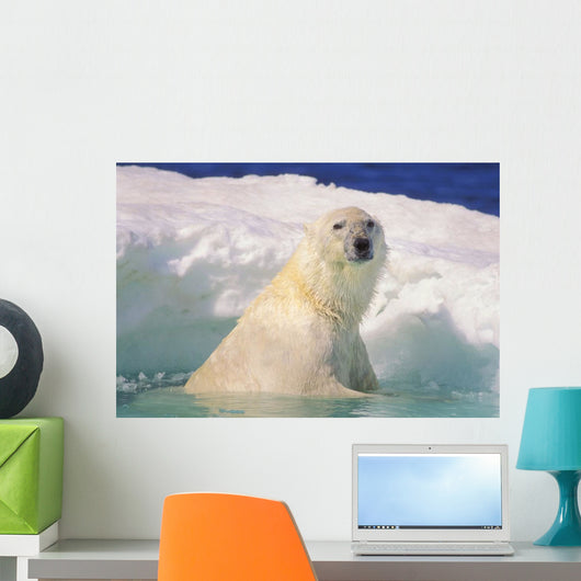 Polar Bear In Ice Pool Wall Mural