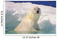 Polar Bear In Ice Pool Wall Mural