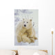 Polar Bear Cub Sitting Wall Mural