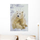 Polar Bear Cub Sitting Wall Mural