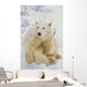 Polar Bear Cub Sitting Wall Mural