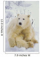 Polar Bear Cub Sitting Wall Mural