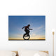 Man On Unicycle Wall Mural