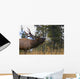 Bull Elk Bugling Wall Mural