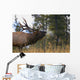 Bull Elk Bugling Wall Mural