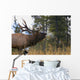 Bull Elk Bugling Wall Mural