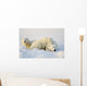 Polar Bears Wall Mural