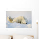 Polar Bears Wall Mural