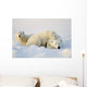Polar Bears Wall Mural
