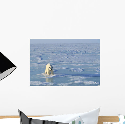 Single Polar Bear Wall Mural