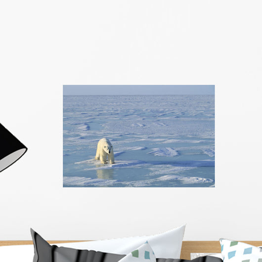 Single Polar Bear Wall Mural