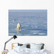Single Polar Bear Wall Mural