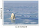 Single Polar Bear Wall Mural