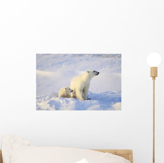 Polar Bear With Cub Wall Mural