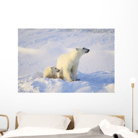 Polar Bear With Cub Wall Mural