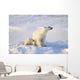 Polar Bear With Cub Wall Mural