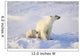 Polar Bear With Cub Wall Mural