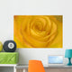 Yellow Tea Rose Wall Mural