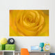 Yellow Tea Rose Wall Mural