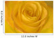 Yellow Tea Rose Wall Mural