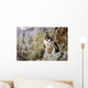 Prairie Falcon On Rock Ledge Wall Mural