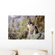 Prairie Falcon On Rock Ledge Wall Mural