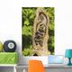 Raccoons In A Tree Wall Mural