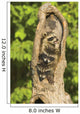 Raccoons In A Tree Wall Mural