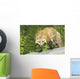 Red Fox Wall Mural