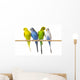 Budgerigar Perch Wall Decal