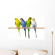 Budgerigar Perch Wall Decal