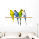 Budgerigar Perch Wall Decal