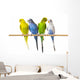 Budgerigar Perch Wall Decal