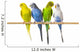 Budgerigar Perch Wall Decal