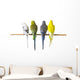 Budgie Bird Posteriors Wall Decal
