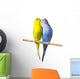 Budgerigar Perch Wall Decal