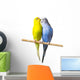 Budgerigar Perch Wall Decal