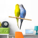 Budgerigar Perch Wall Decal