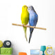 Budgerigar Perch Wall Decal