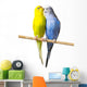 Budgerigar Perch Wall Decal