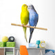 Budgerigar Perch Wall Decal