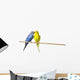 Two Budgies On A Perch Wall Mural