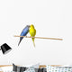 Two Budgies On A Perch Wall Mural