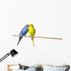 Two Budgies On A Perch Wall Mural